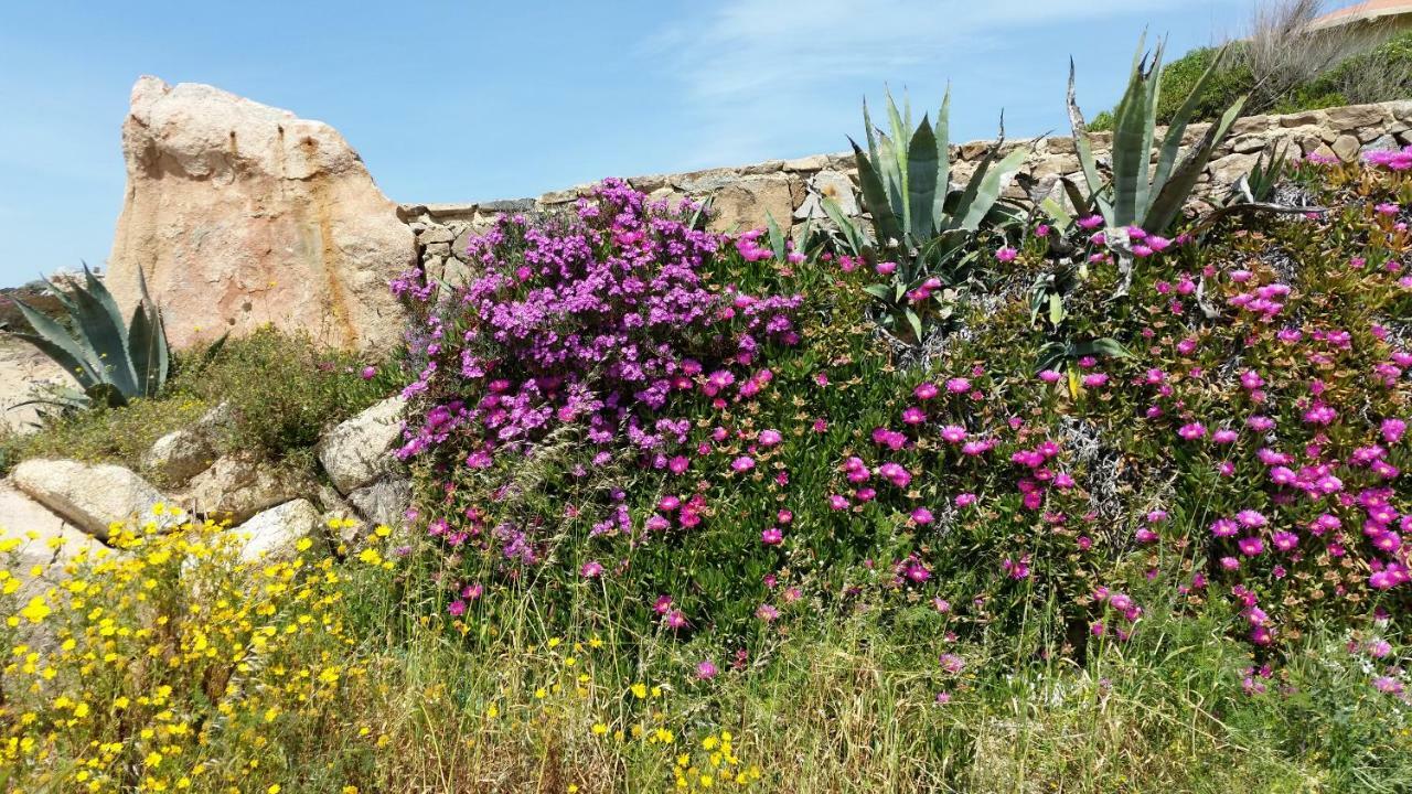 Casa Vacanze Della Maddalena Eksteriør bilde