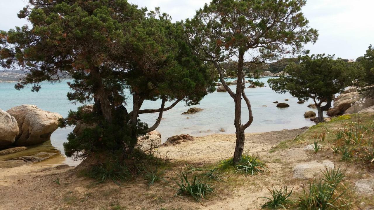 Casa Vacanze Della Maddalena Eksteriør bilde